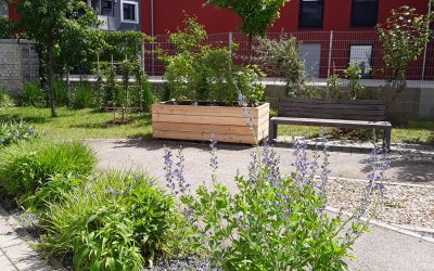 Wohnkonzepte Schneider | Demenz-Wohngemeinschaften