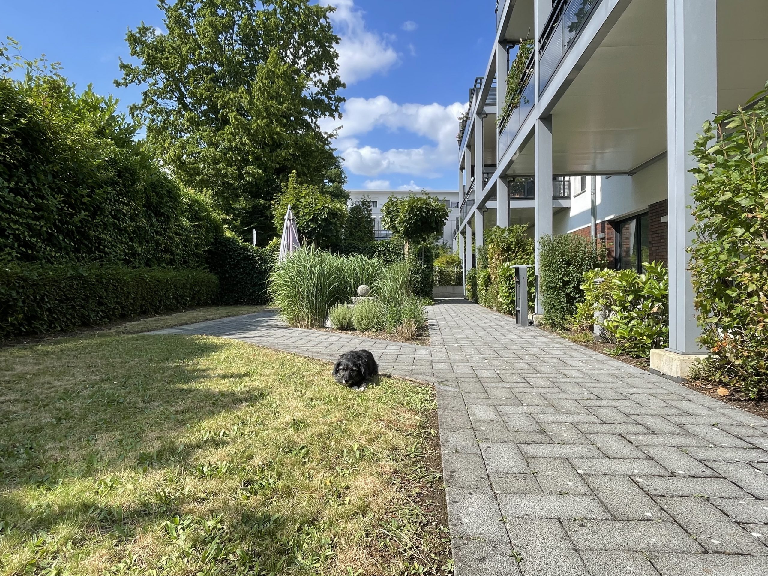 Im Garten der Demenz WG in der Koelnstrasse laesst sich manches Ruendchen drehen